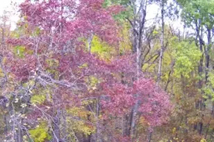 47802 Xylophone Rd, Garrison, MN 56450 - Photo 33