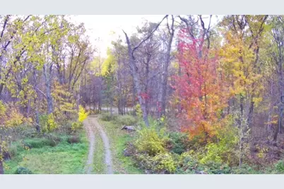 47802 Xylophone Road, Garrison, MN 56450 - Photo 3