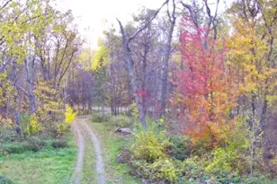 47802 Xylophone Rd, Garrison, MN 56450 - Photo 3