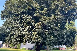 537 E Ronning Ave, Appleton, MN 56208 - Photo 19