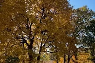 5129 Waterbury Rd, Mound, MN 55364 - Photo 9