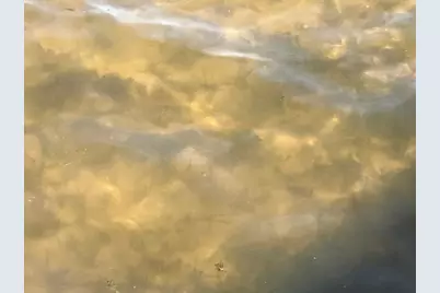 2036C 135th Street #C, Milltown Twp, WI 54858 - Photo 25