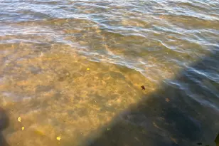 2036C 135th St, Milltown Twp, WI 54858 - Photo 29