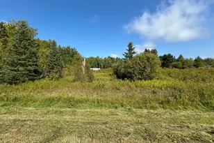 10629 Town Rd 34, Mizpah, MN 56660 - Photo 9