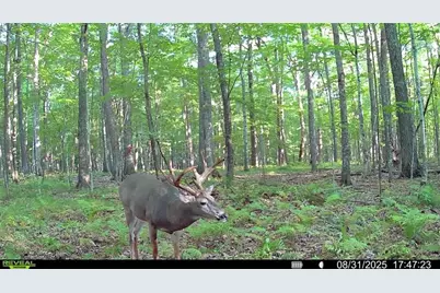 1963 Acres County Hwy C & Acres County, Exeland, WI 54835 - Photo 43