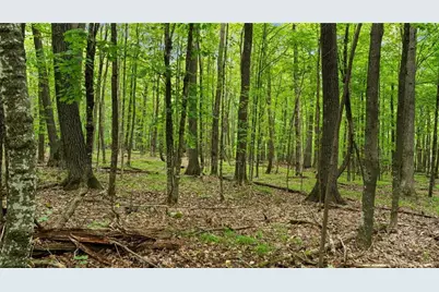 1963 Acres County Hwy C & Acres County, Exeland, WI 54835 - Photo 45