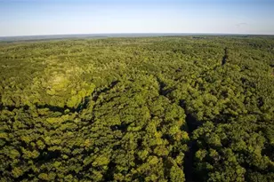 1963 Acres County Hwy C & Acres County, Exeland, WI 54835 - Photo 1