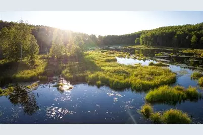 1963 Acres County Hwy C & Acres County, Exeland, WI 54835 - Photo 7