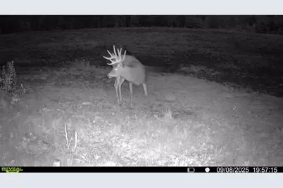 1963 Acres County Hwy C & Acres County, Exeland, WI 54835 - Photo 35