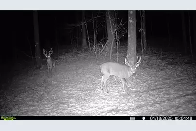 1963 Acres County Hwy C & Acres County, Exeland, WI 54835 - Photo 47