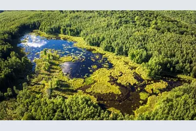 1963 Acres County Hwy C & Acres County, Exeland, WI 54835 - Photo 5