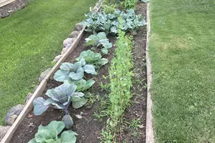 201 Norman Ave S, Foley, MN 56329 - Photo 33