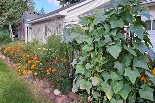 201 Norman Ave S, Foley, MN 56329 - Photo 25