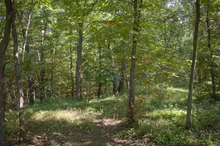 17963 27th Ave, Clearwater, MN 55320 - Photo 59