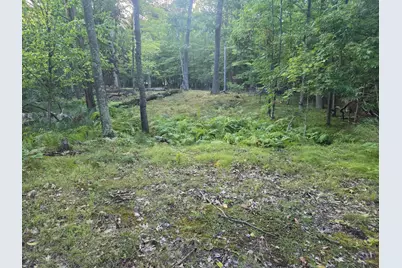 Tbd 484th Street, Shamrock Township, MN 55760 - Photo 1