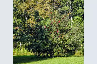 11775 Highway 71, Northome, MN 56661 - Photo 15