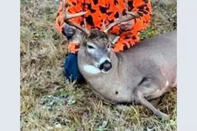 11775 Highway 71, Northome, MN 56661 - Photo 39