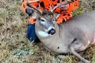 11775 Hwy 71, Northome, MN 56661 - Photo 39