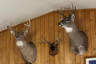 11775 Hwy 71, Northome, MN 56661 - Photo 19