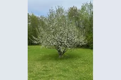 11775 Highway 71, Northome, MN 56661 - Photo 37