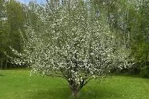 11775 Hwy 71, Northome, MN 56661 - Photo 37