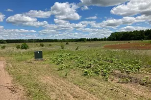 Tbd Keystone Ave, Sunrise Township, MN 55032 - Photo 31