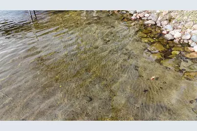 7939 Lake John Drive, Annandale, MN 55302 - Photo 5