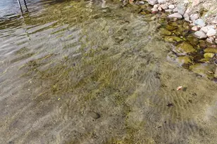 7939 Lake John Dr, Annandale, MN 55302 - Photo 5