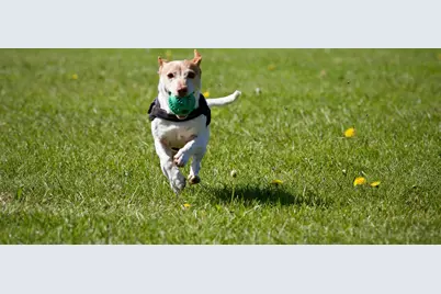 6040 Oakview Court, Excelsior, MN 55331 - Photo 105