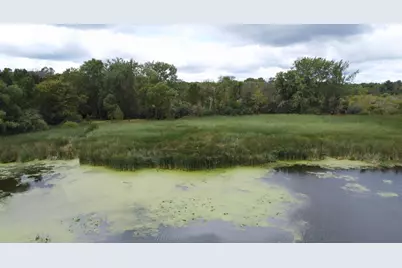 Xxx 365th Street, Watkins, MN 55389 - Photo 7