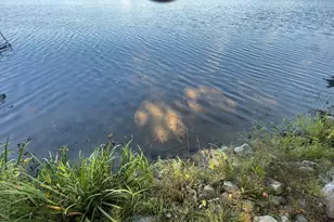 47304 Dallas Rd, Lake Jessie Twp, MN 56680 - Photo 15