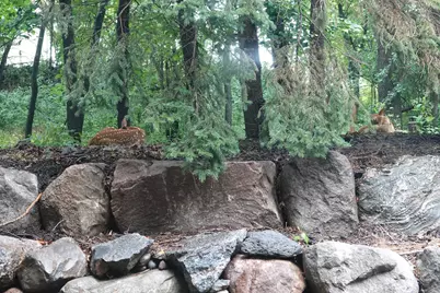 17128 Jonquil Avenue, Lakeville, MN 55044 - Photo 53