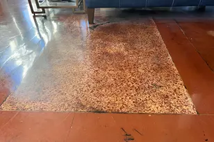 488 Wabasha St N, Saint Paul, MN 55102 - Photo 43