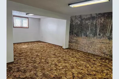 509 1st Street, Bellingham, MN 56212 - Photo 23