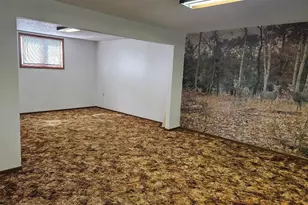 509 1st St, Bellingham, MN 56212 - Photo 23