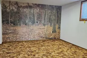 509 1st St, Bellingham, MN 56212 - Photo 25