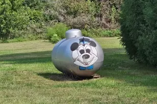 509 1st St, Bellingham, MN 56212 - Photo 39