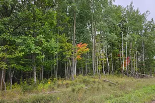 Xxxx Tract C Pioneer Rd, Barnum, MN 55707 - Photo 1