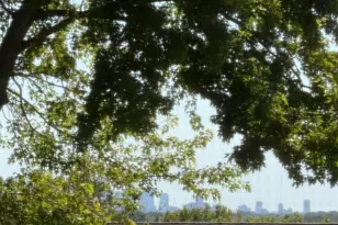 4835 Yorktown Ln N, Plymouth, MN 55442 - Photo 9