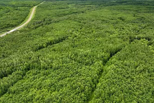 0000 State Hwy 27, Barnes, WI 54873 - Photo 1