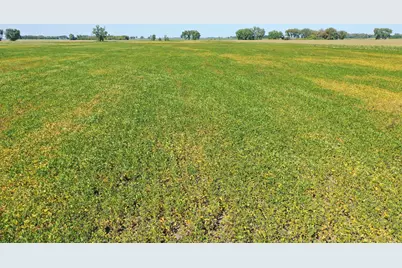 Tbd County 8, Campbell, MN 56522 - Photo 3