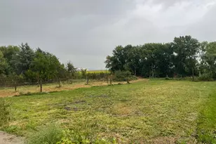 20157 540th Ave, Wells, MN 56097 - Photo 25