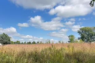 505 E Farmer St, Spring Valley, MN 55975 - Photo 13