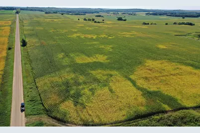 Tbdx 190th Street, Battle Lake, MN 56515 - Photo 1