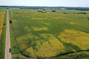 Tbdx 190th St, Battle Lake, MN 56515 - Photo 1