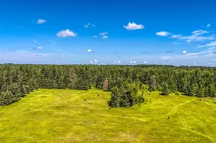 Tbd 480th, Laporte, MN 56461 - Photo 1