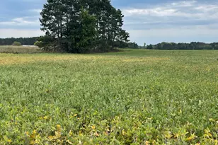 Tbd Verdin Street NW, Cambridge, MN 55008 - Photo 1