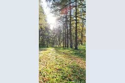 935 Lakewood Hills Road, Eagan, MN 55123 - Photo 103