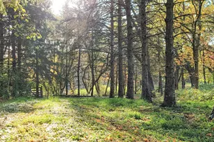 935 Lakewood Hills Rd, Eagan, MN 55123 - Photo 103