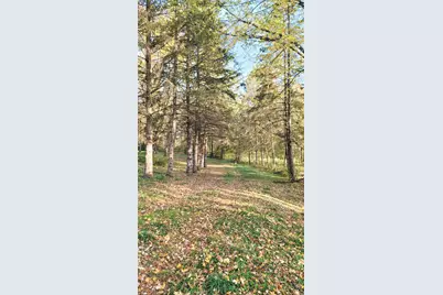 935 Lakewood Hills Road, Eagan, MN 55123 - Photo 89